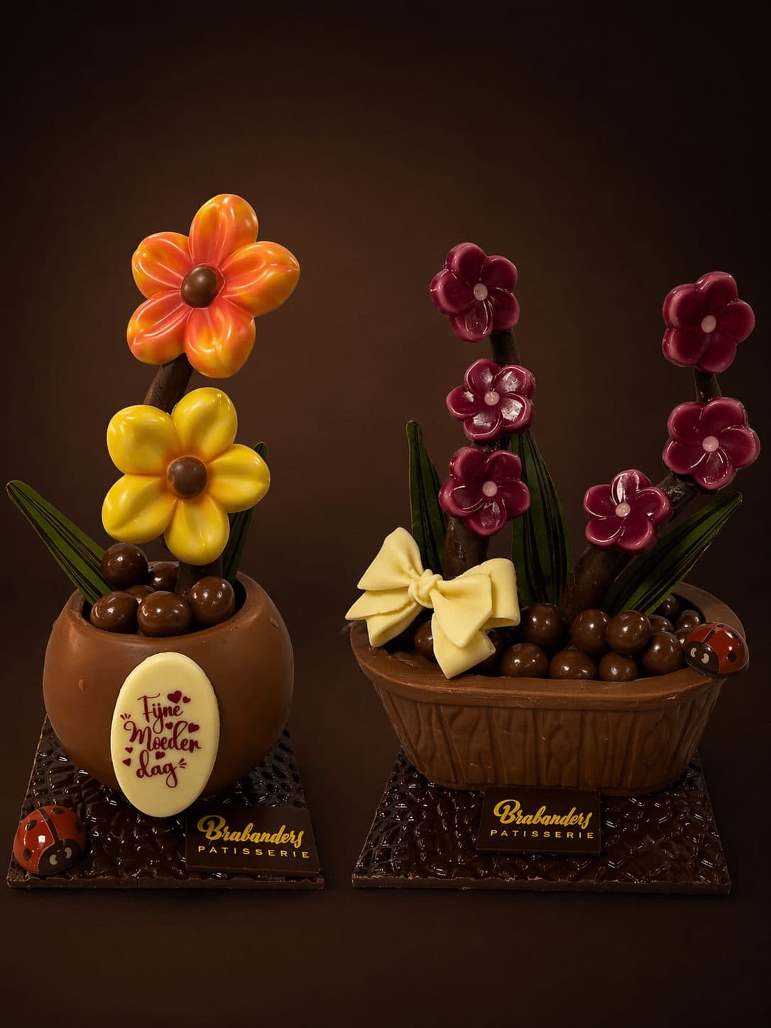 Bloempotje en bloembakje in chocolade